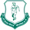 Grün-Weiss Wolfen AH