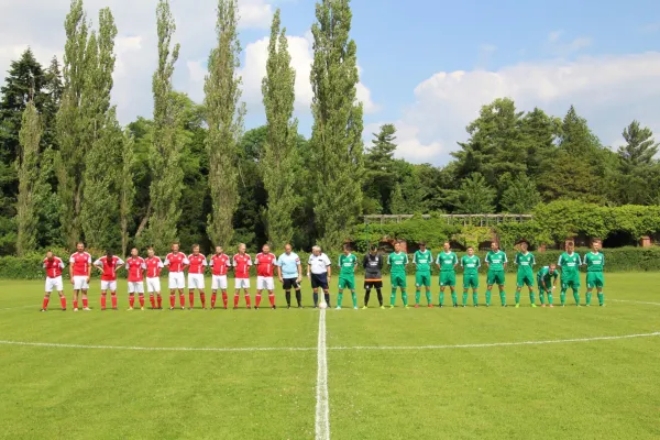 Meister 2017 - Letztes Spiel vs Abus Dessau 10.06.