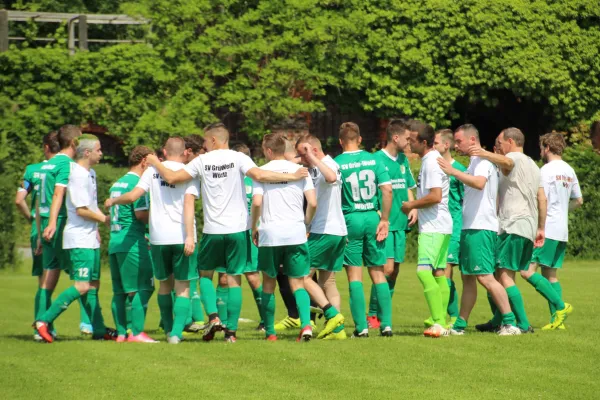 Meister 2017 - Letztes Spiel vs Abus Dessau 10.06.