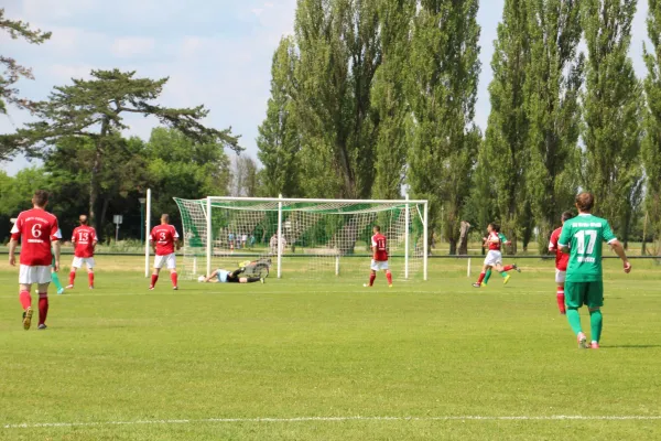 Meister 2017 - Letztes Spiel vs Abus Dessau 10.06.