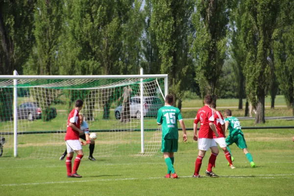 Meister 2017 - Letztes Spiel vs Abus Dessau 10.06.