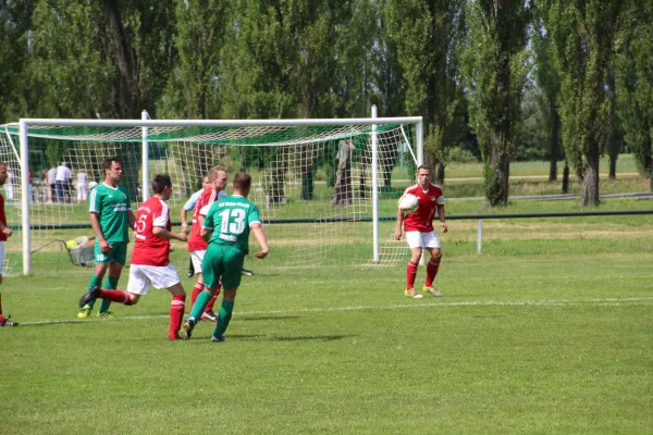 Meister 2017 - Letztes Spiel vs Abus Dessau 10.06.