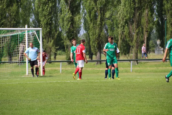 Meister 2017 - Letztes Spiel vs Abus Dessau 10.06.