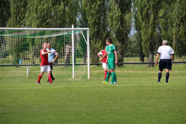 Meister 2017 - Letztes Spiel vs Abus Dessau 10.06.