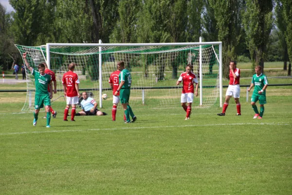 Meister 2017 - Letztes Spiel vs Abus Dessau 10.06.