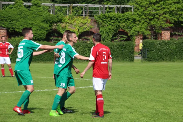 Meister 2017 - Letztes Spiel vs Abus Dessau 10.06.