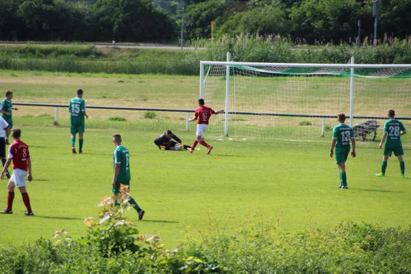 Meister 2017 - Letztes Spiel vs Abus Dessau 10.06.