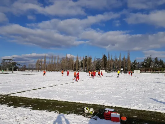 04.02.2018 SV Grün-Weiß Wörlitz vs. TSV Mosigkau II