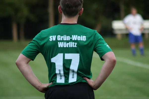 20.08.2015 SV Mildensee vs. SV Grün-Weiß Wörlitz