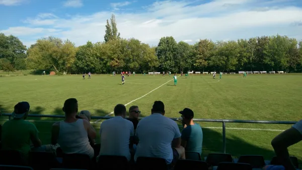 13.08.2016 SV Mildensee vs. SV Grün-Weiß Wörlitz