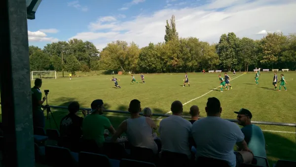 13.08.2016 SV Mildensee vs. SV Grün-Weiß Wörlitz