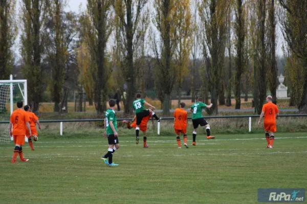 07.11.2015 SV Grün-Weiß Wörlitz vs. Chemie Rodleben II