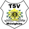 TSV Mosigkau II