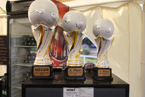 Wörlitzer Winkel Cup 2015