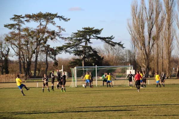 Heimspiel gegen FSG Walternienburg/Güterglück