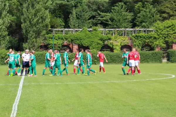 Meister 2017 - Letztes Spiel vs Abus Dessau 10.06.