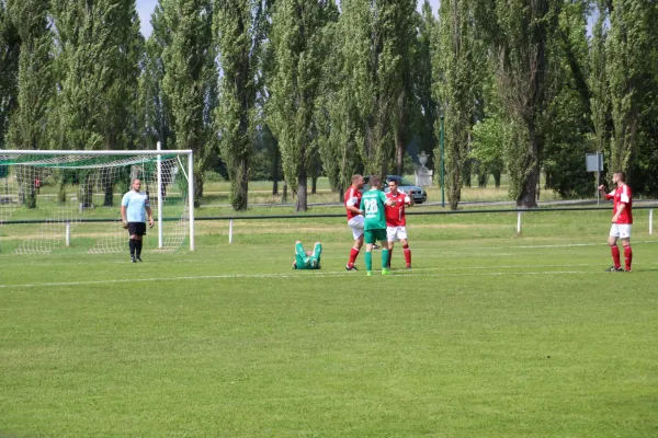 Meister 2017 - Letztes Spiel vs Abus Dessau 10.06.