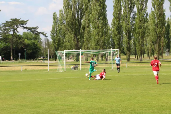 Meister 2017 - Letztes Spiel vs Abus Dessau 10.06.