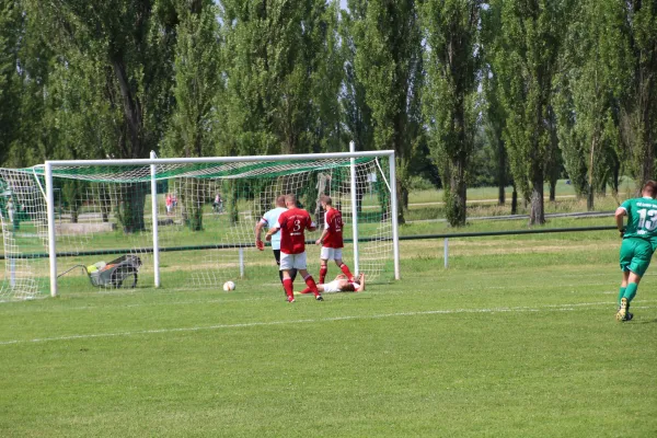 Meister 2017 - Letztes Spiel vs Abus Dessau 10.06.