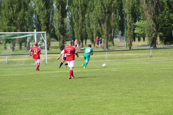 Meister 2017 - Letztes Spiel vs Abus Dessau 10.06.