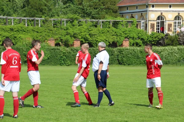 Meister 2017 - Letztes Spiel vs Abus Dessau 10.06.