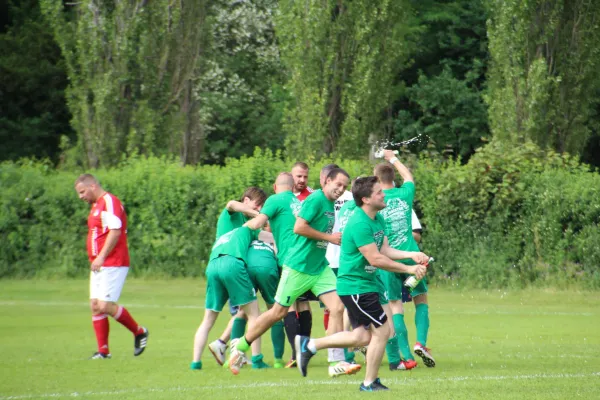 Meister 2017 - Letztes Spiel vs Abus Dessau 10.06.