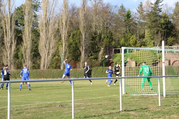 09.03.2019 SV Grün-Weiß Wörlitz vs. SG 1919 Trebitz