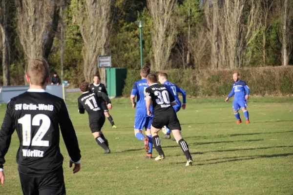 09.03.2019 SV Grün-Weiß Wörlitz vs. SG 1919 Trebitz