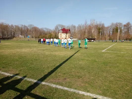 30.03.2019 TSV Mosigkau vs. SV Grün-Weiß Wörlitz