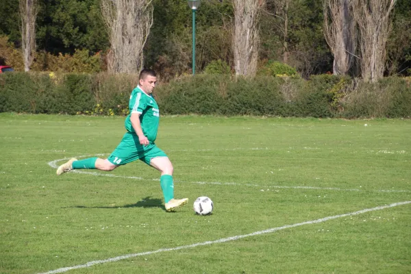 06.04.2019 SV Grün-Weiß Wörlitz vs. Victoria Wittenberg