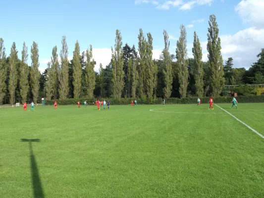 02.10.2016 SV Grün-Weiß Wörlitz vs. SV Dessau 05 II