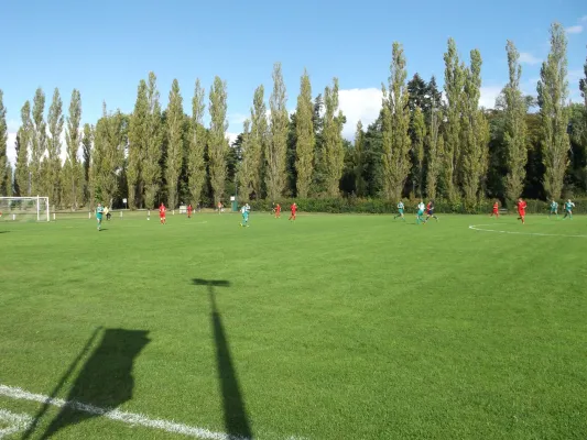 02.10.2016 SV Grün-Weiß Wörlitz vs. SV Dessau 05 II