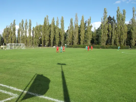 02.10.2016 SV Grün-Weiß Wörlitz vs. SV Dessau 05 II