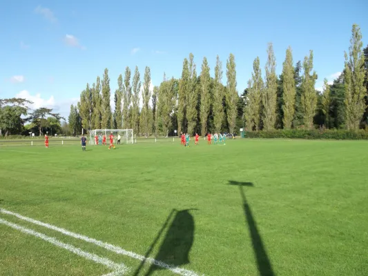 02.10.2016 SV Grün-Weiß Wörlitz vs. SV Dessau 05 II