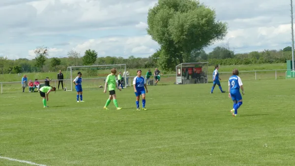 05.05.2024 SV Grün-Weiß Wörlitz vs. Sg Zschornewitz