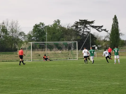 12.04.2024 SV Grün-Weiß Wörlitz vs. SV Grün-Weiß Linda