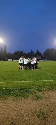 12.04.2024 SV Grün-Weiß Wörlitz vs. SV Grün-Weiß Linda