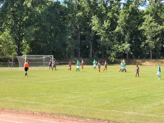 15.06.2024 VFB Zahna vs. SV Grün-Weiß Wörlitz