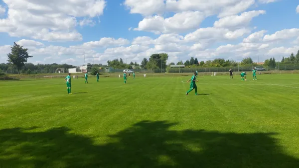 10.08.2024 SV Reinsdorf vs. SV Grün-Weiß Wörlitz