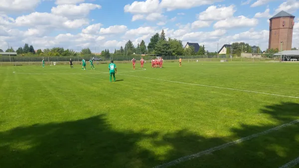 10.08.2024 SV Reinsdorf vs. SV Grün-Weiß Wörlitz