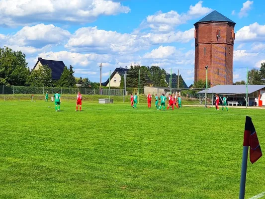 10.08.2024 SV Reinsdorf vs. SV Grün-Weiß Wörlitz