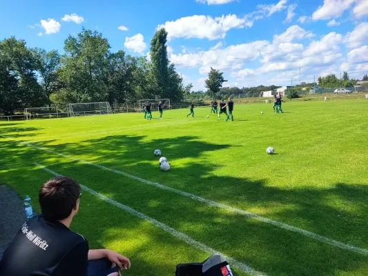 10.08.2024 SV Reinsdorf vs. SV Grün-Weiß Wörlitz