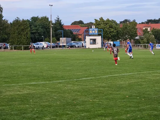 23.08.2024 SG 1919 Trebitz vs. SV Grün-Weiß Wörlitz