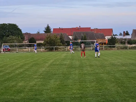 23.08.2024 SG 1919 Trebitz vs. SV Grün-Weiß Wörlitz