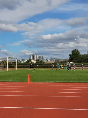 14.09.2024 Allemannia Jessen II vs. SV Grün-Weiß Wörlitz