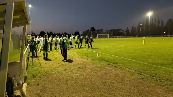 25.10.2024 SV Grün-Weiß Wörlitz vs. VFB Zahna