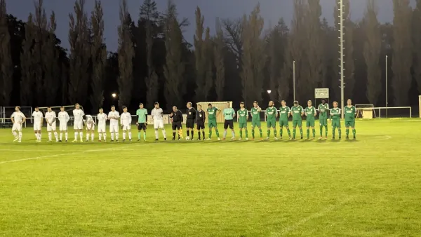 25.10.2024 SV Grün-Weiß Wörlitz vs. VFB Zahna