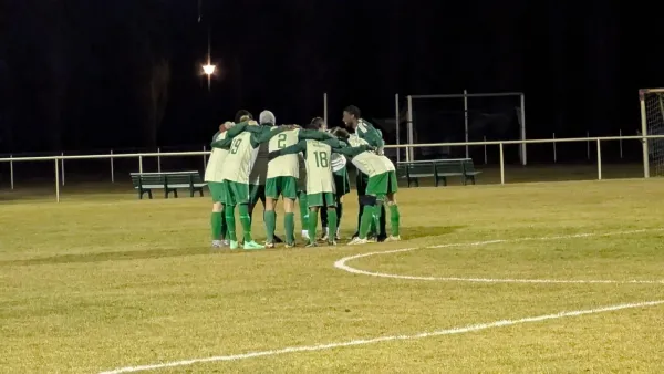 28.02.2025 SV Grün-Weiß Wörlitz vs. SV Reinsdorf