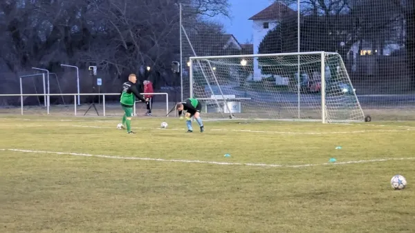 28.02.2025 SV Grün-Weiß Wörlitz vs. SV Reinsdorf