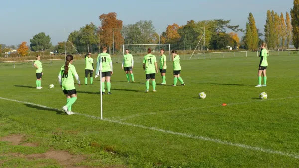 20.10.2024 SV Grün-Weiß Wörlitz vs. Bad Schmiedeberg